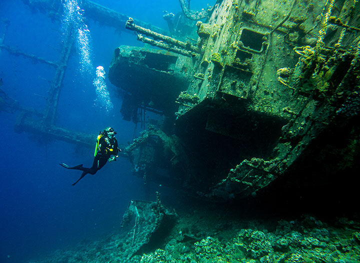 Diving the Red Sea in Aqaba with Deep Blue Dive Center • The Blonde Abroad