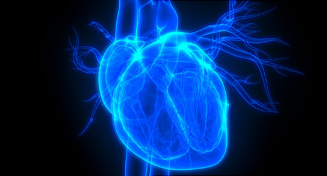 Variations Found in ‘Regular’ Resting Heart Rate