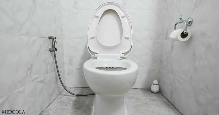 Why the Time Is Right for an Inexpensive Bidet