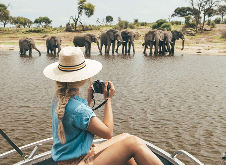 The Best Time to Go on Safari in Africa by Month • The Blonde Abroad