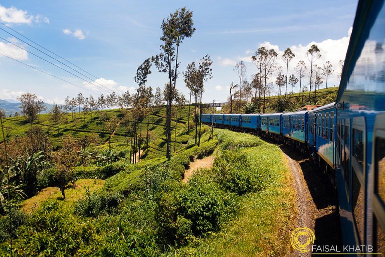 5 Must Do Things in Nuwara Eliya, Sri Lanka – Beyond Tea Plantations