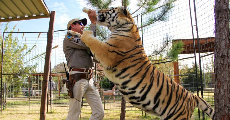 Tiger King: Did Joe Exotic Set the Fire at GW Zoo?