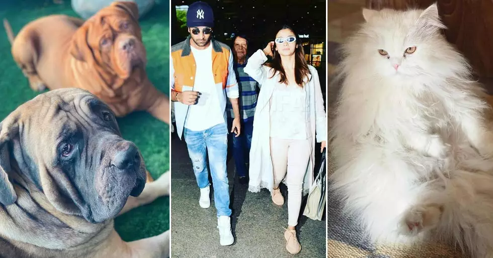 Alia Bhatt flaunts her photography skills as she captures Ranbir Kapoor’s pets