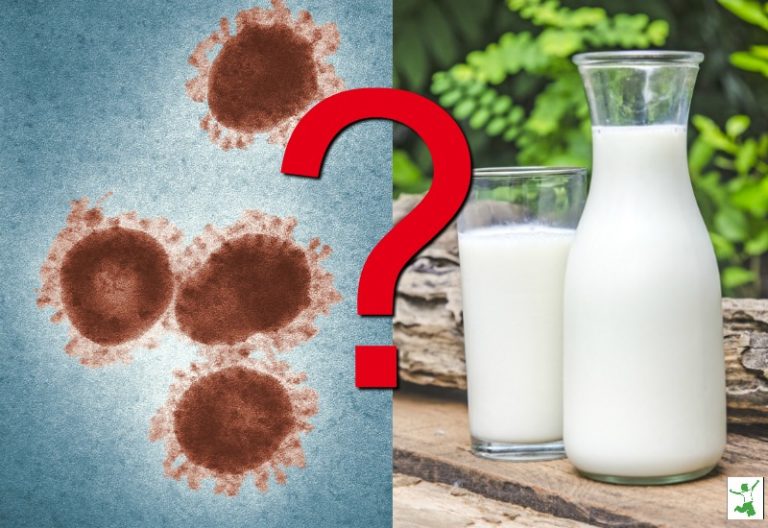 Coronavirus and Raw Milk. Safe to Drink?