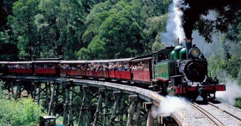 Puffing Billy Tour with Healesville Sanctuary and Fergusson Winery