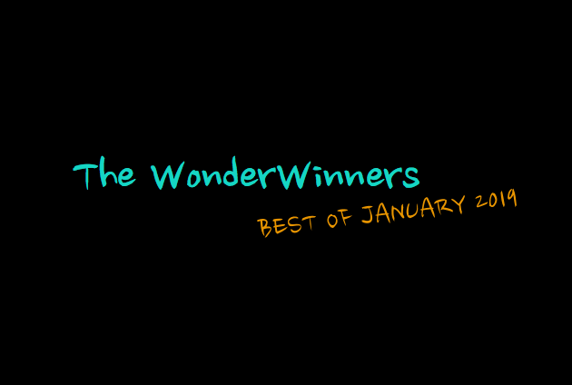 The WonderWinners Best of January 2019