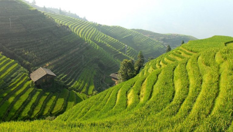 The Banaue Rice Terraces: An Unforgettable Vacation Experience