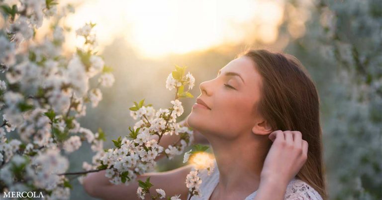 Scents Trigger Strong Feelings From Memories