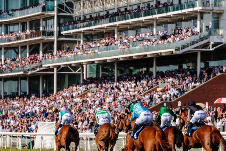 What Makes Horse Racing So Popular To Bet On?