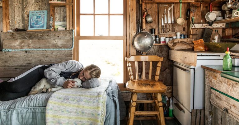 Shearing Sheep, and Hewing to Custom, on an Island in Maine