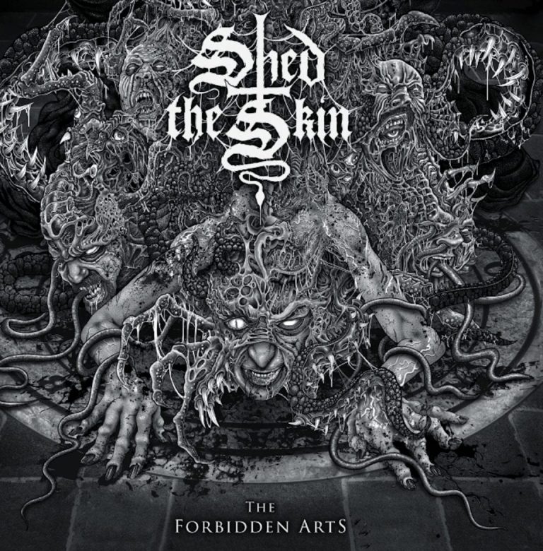 Track Premiere: Shed The Skin – “Skeletal Firestorm”