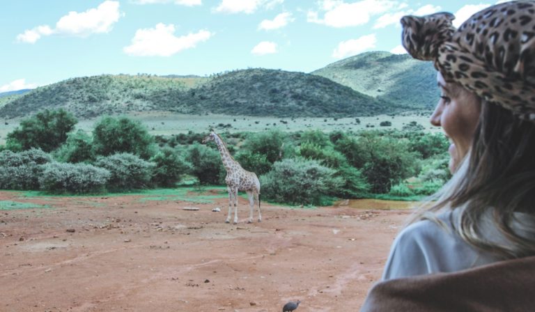 MY SAFARI ADVENTURES: THE PILANESBERG PARK | South Africa