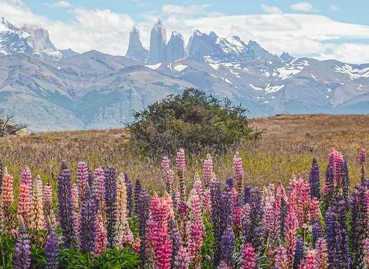 The Ultimate Hiking Guide to Torres del Paine, Chile • The Blonde Abroad