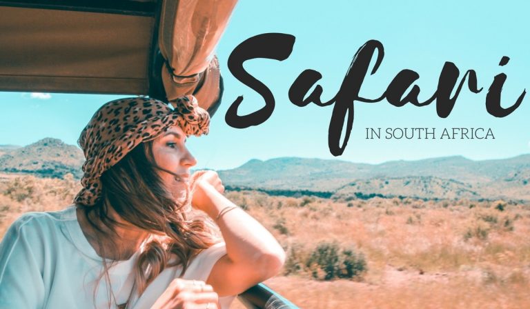 VIDEO: SAFARI IN SOUTH AFRICA | VIDEOS