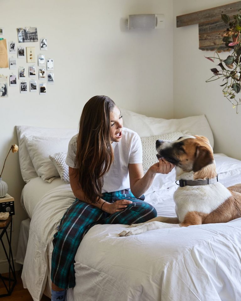 A Brooklyn Studio Filled With Plants and One Giant Dog