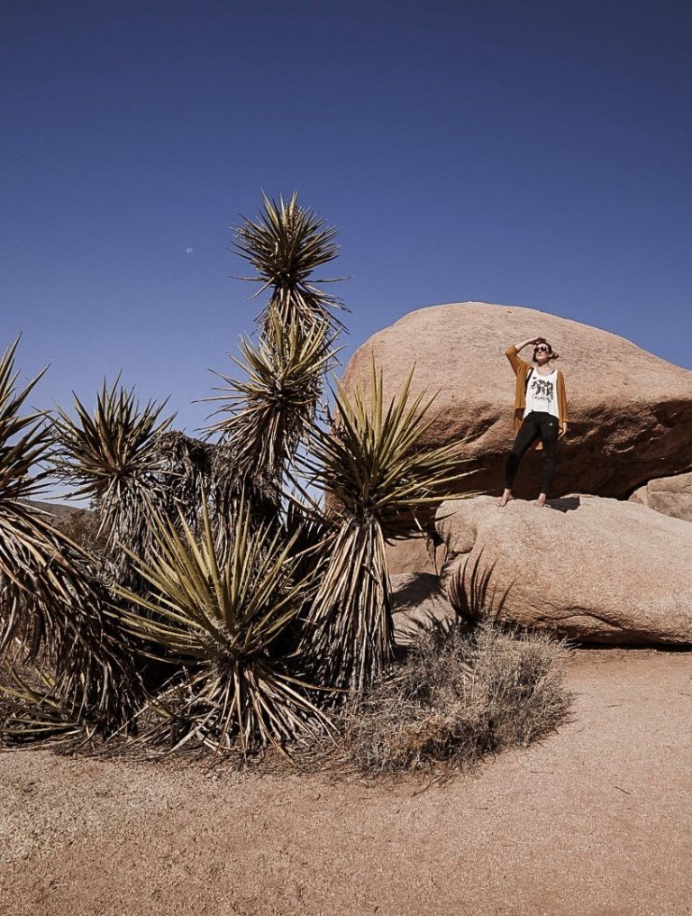 What To Do in Joshua Tree National Park