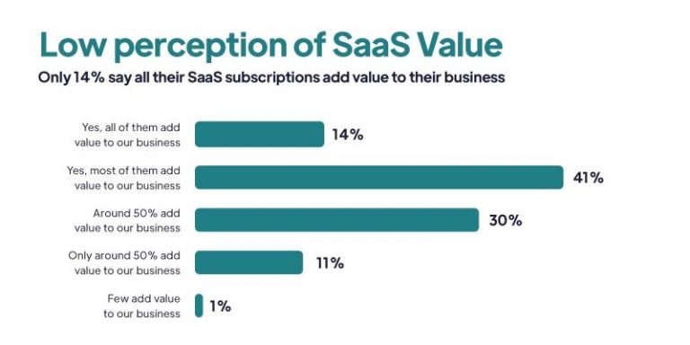 Report: 14% of decision-makers feel all SaaS subscriptions benefit their business