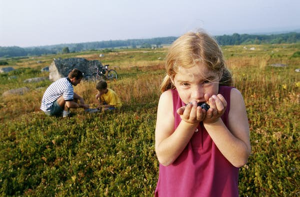 Maine with kids – Lonely Planet