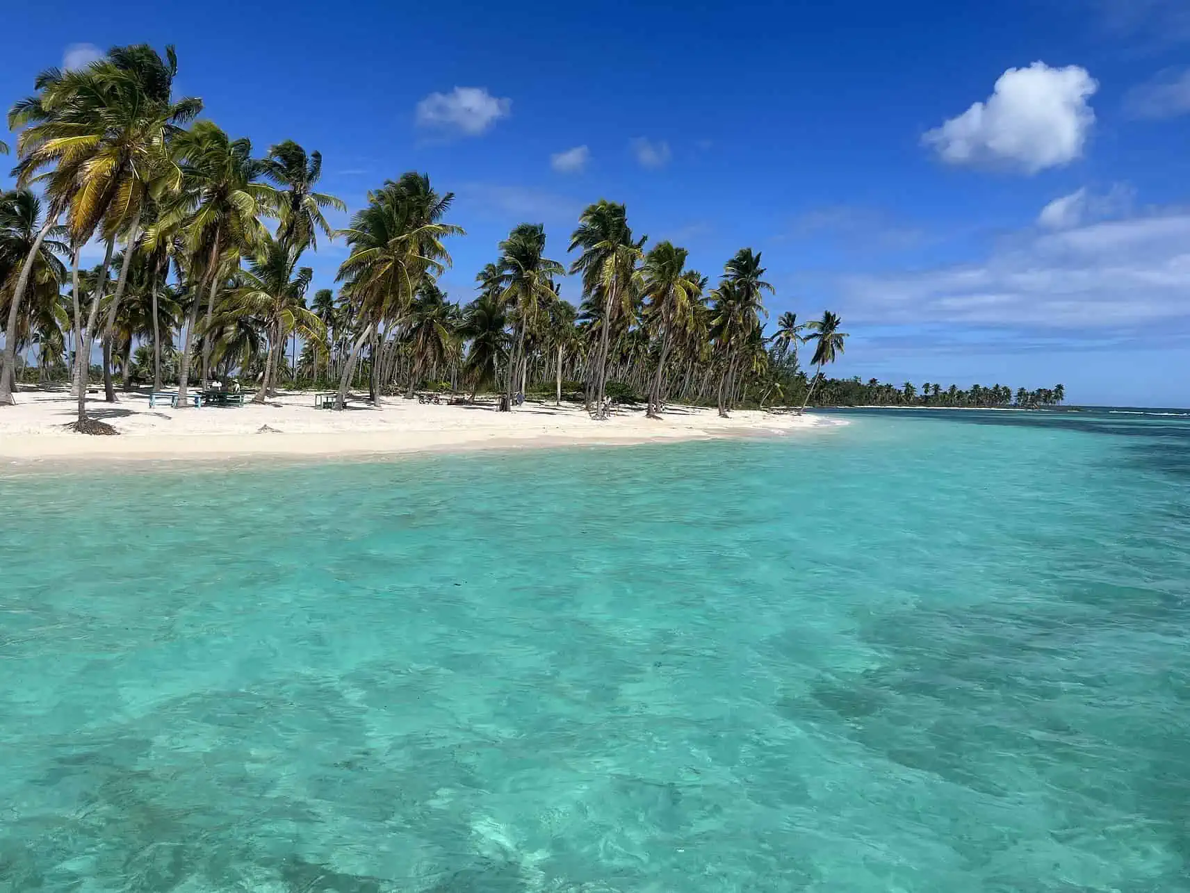 Saona Island: A Paradise Unveiled – Discovering the Hidden Gems