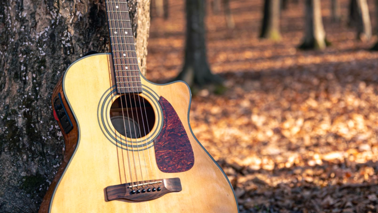 Playing Guitar Can Help with Seasonal Melancholy- TrueFire Blog