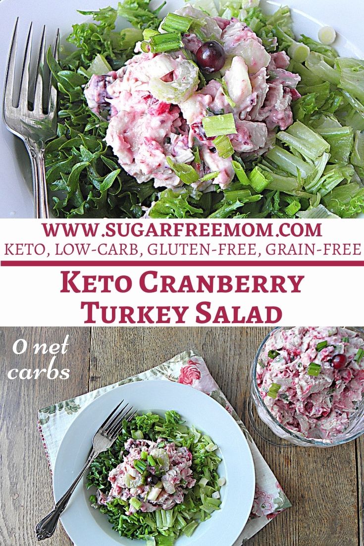 Easy Keto Low Carb Cranberry Turkey Salad Recipe