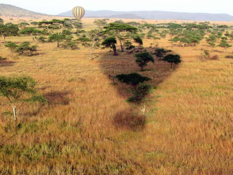 Serengeti Balloon Safari in Tanzania