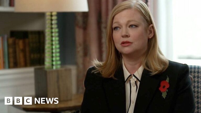 Succession actor Sarah Snook: ‘AI is terrifying’