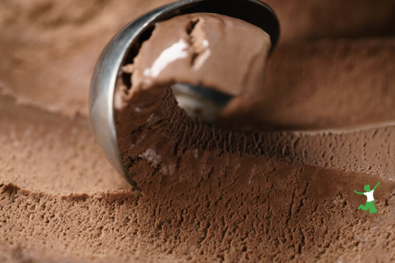 Homemade Chocolate Ice Cream | Healthy Home Economist