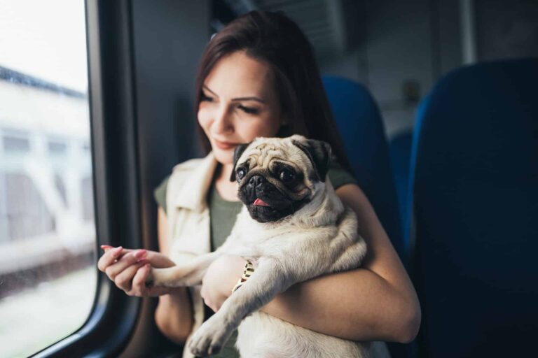 Travel Benefits of Having a Psychiatric Service Dog