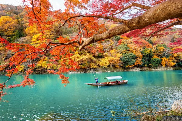 15 best things to do in Kyoto