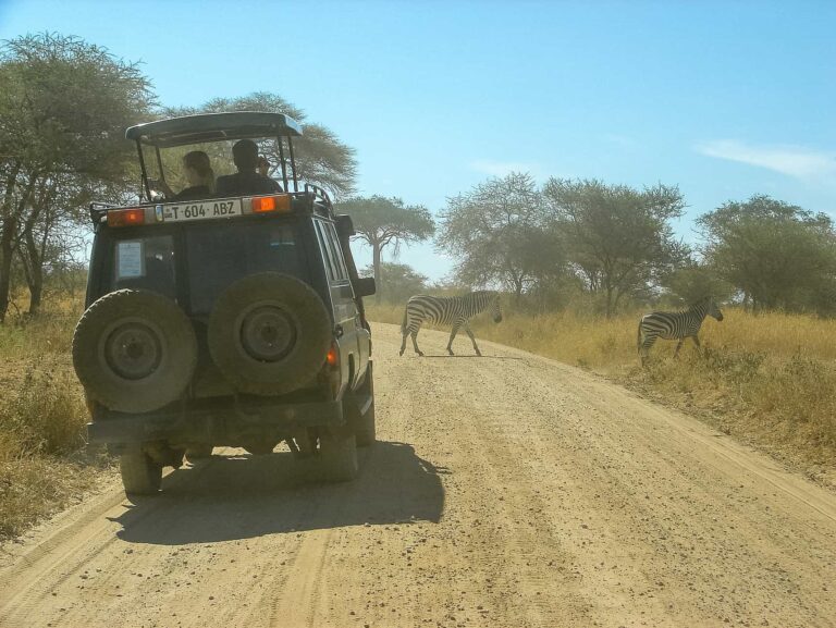 How to Get to Serengeti National Park From Arusha