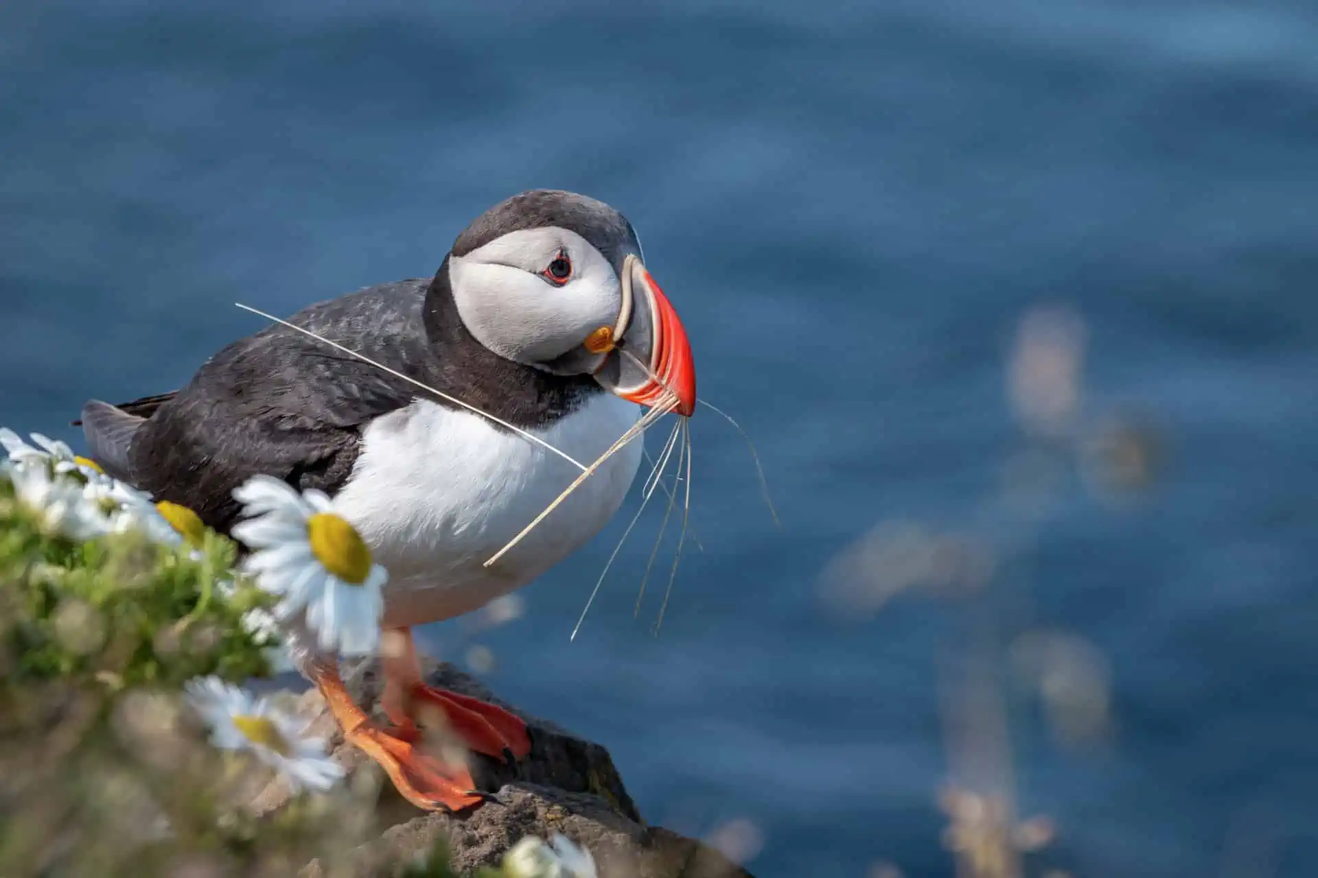 Discover a Little Bit of Everything on a British Isles Cruise