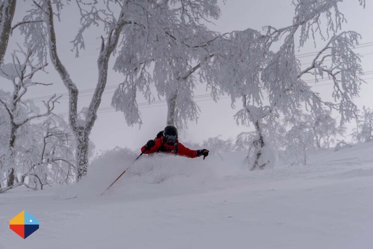 Beginners Allowed: A JAPOW Paradise for Skiers of all Levels