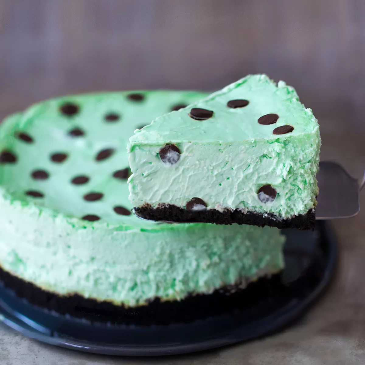 Mint Chocolate Chip Cheesecake – Chocolate Covered Katie