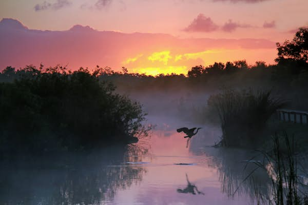 8 of the best things to do in Everglades National Park