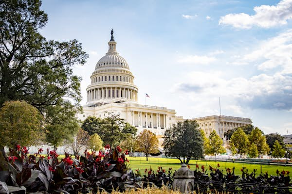 Pure, Historical past: Green Washington, D.C.