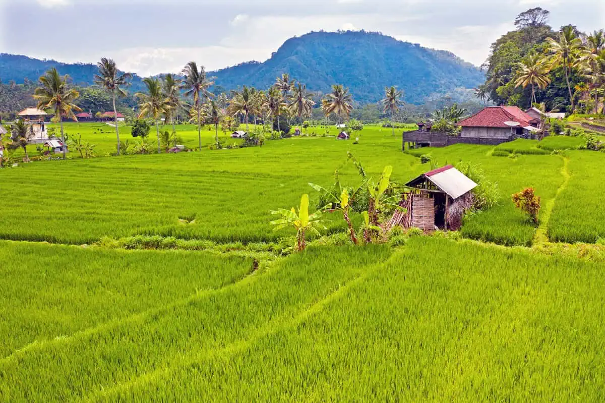 1 Day Ubud Itinerary: Unveiling Bali’s Hidden Gems with Thrilling Adventures